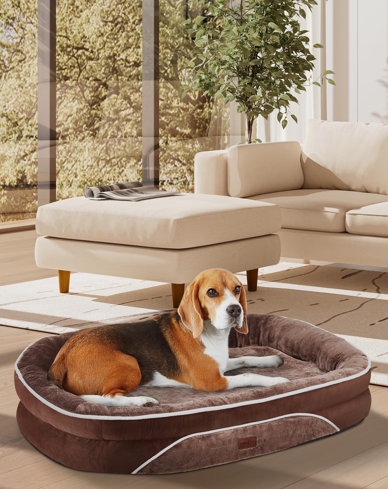 OhGeni Orthopedic Dog Bed Couch for Large Sized Pets with Egg Foam Support, Four-Sided Bolster Cushions, Soft Tear-Resistant Fabric, and Removable Machine Washable Plush Cover 35-Inch (Gray)